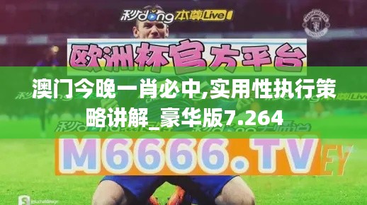 澳门今晚一肖必中,实用性执行策略讲解_豪华版7.264