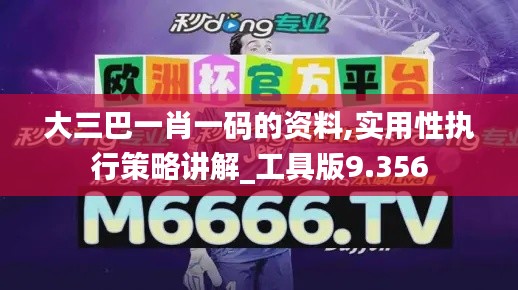 大三巴一肖一码的资料,实用性执行策略讲解_工具版9.356