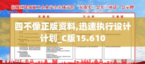 四不像正版资料,迅速执行设计计划_C版15.610