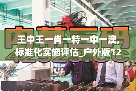 王中王一肖一特一中一澳,标准化实施评估_户外版12.689