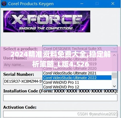 2024精准资料免费大全,稳定解析策略_L版4.526