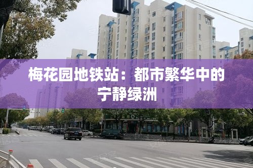 梅花园地铁站：都市繁华中的宁静绿洲