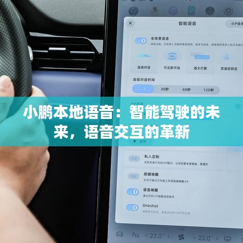 小鹏本地语音：智能驾驶的未来，语音交互的革新