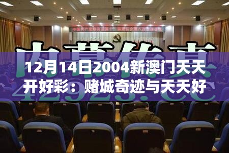 12月14日2004新澳门天天开好彩：赌城奇迹与天天好彩的共鸣