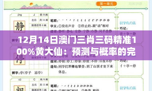 12月14日澳门三肖三码精准100%黄大仙：预测与概率的完美结合