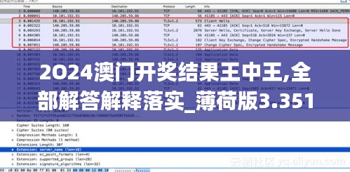 2O24澳门开奖结果王中王,全部解答解释落实_薄荷版3.351