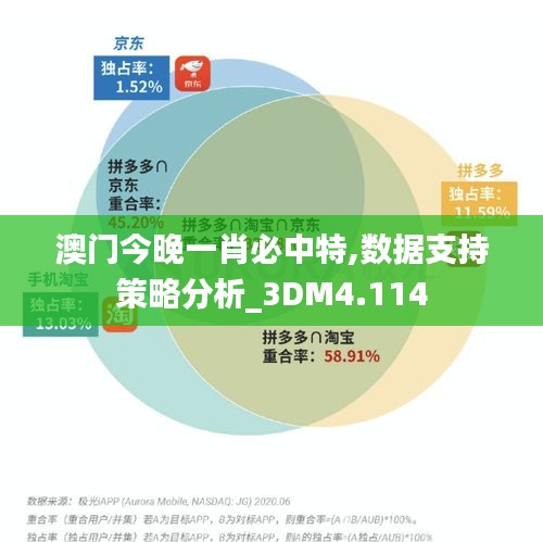 澳门今晚一肖必中特,数据支持策略分析_3DM4.114