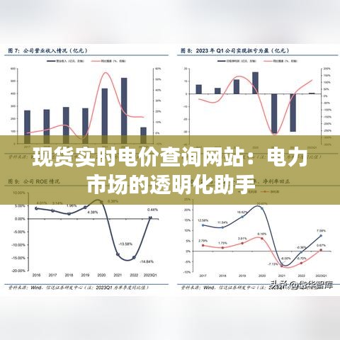 现货实时电价查询网站：电力市场的透明化助手
