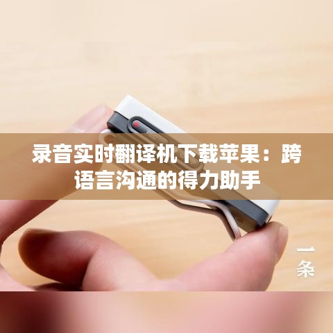 录音实时翻译机下载苹果：跨语言沟通的得力助手