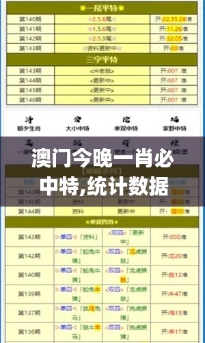 澳门今晚一肖必中特,统计数据解释定义_Console9.609