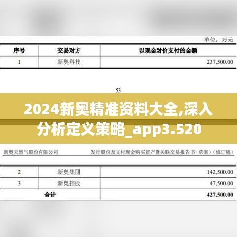 2024新奥精准资料大全,深入分析定义策略_app3.520