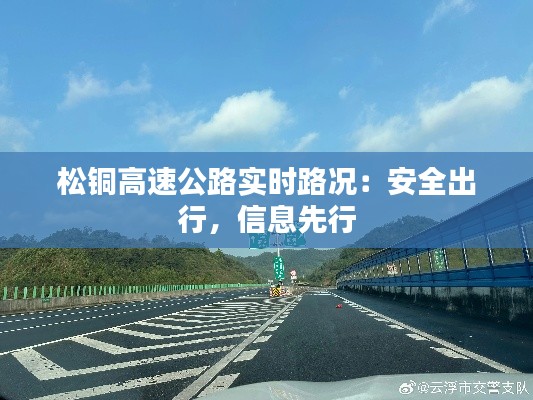 淡妆浓抹 第3页