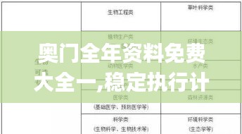 奥门全年资料免费大全一,稳定执行计划_专业版5.823