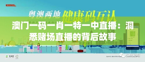 澳门一码一肖一特一中直播：洞悉赌场直播的背后故事