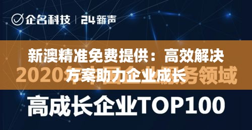 新澳精准免费提供：高效解决方案助力企业成长