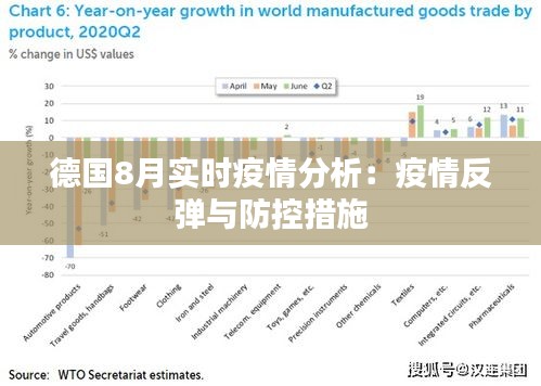 德国8月实时疫情分析：疫情反弹与防控措施