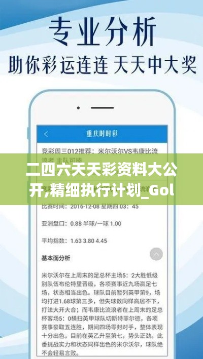 二四六天天彩资料大公开,精细执行计划_Gold10.289