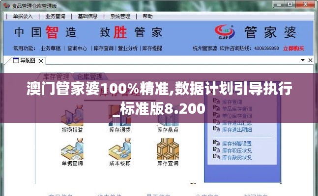 澳门管家婆100%精准,数据计划引导执行_标准版8.200