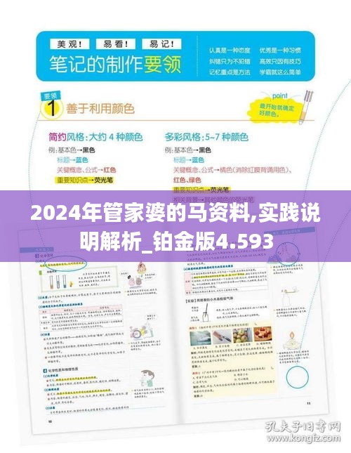 2024年管家婆的马资料,实践说明解析_铂金版4.593