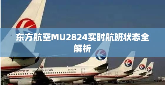 东方航空MU2824实时航班状态全解析