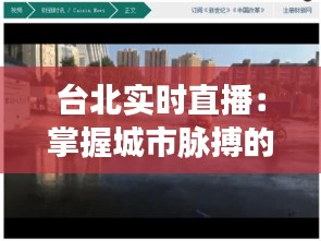 椎髻布衣 第4页