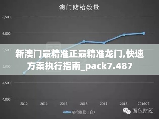 新澳门最精准正最精准龙门,快速方案执行指南_pack7.487