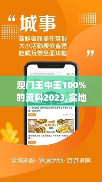 澳门王中王100%的资料2023,实地验证数据设计_FT3.678