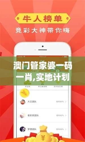 澳门管家婆一码一肖,实地计划设计验证_投资版1.742