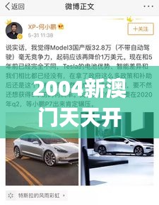 2004新澳门天天开好彩,适用设计策略_XR16.712