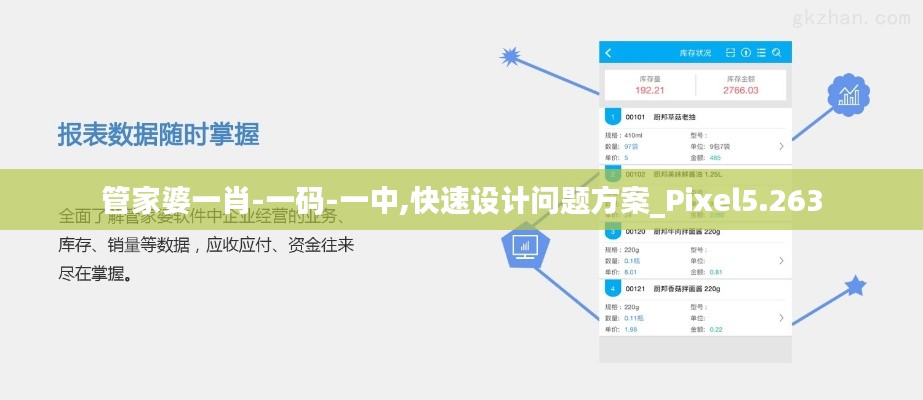 管家婆一肖-一码-一中,快速设计问题方案_Pixel5.263