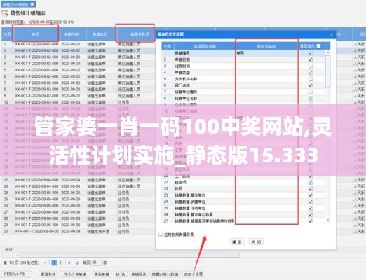 管家婆一肖一码100中奖网站,灵活性计划实施_静态版15.333