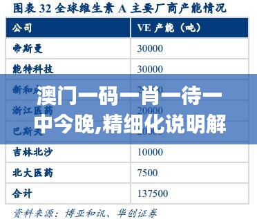 澳门一码一肖一待一中今晚,精细化说明解析_FHD版1.583