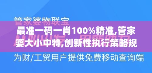 最准一码一肖100%精准,管家婆大小中特,创新性执行策略规划_V2.878