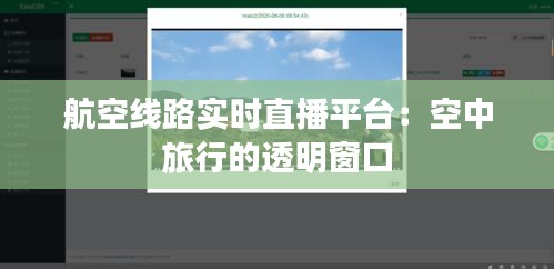 航空线路实时直播平台：空中旅行的透明窗口