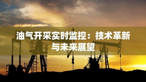 油气开采实时监控：技术革新与未来展望