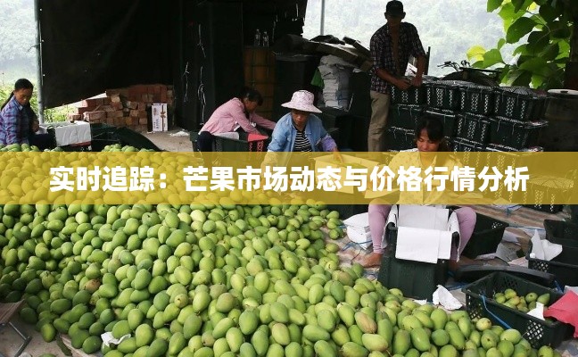 实时追踪：芒果市场动态与价格行情分析
