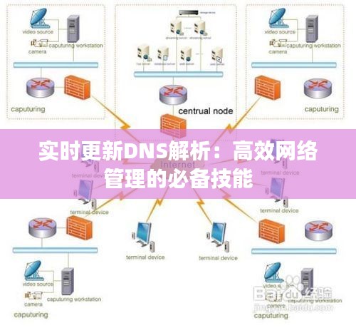 实时更新DNS解析：高效网络管理的必备技能