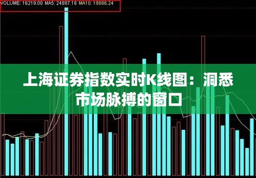 鸟吏鼈官 第3页