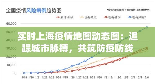 实时上海疫情地图动态图：追踪城市脉搏，共筑防疫防线