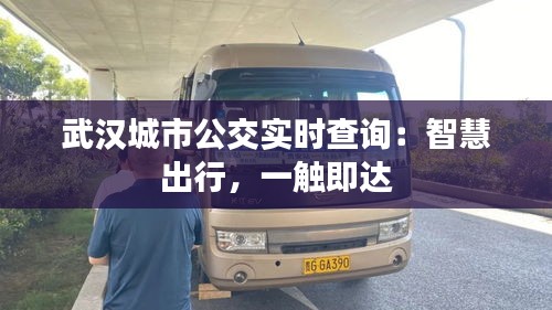 武汉城市公交实时查询：智慧出行，一触即达