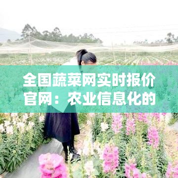 全国蔬菜网实时报价官网：农业信息化的智慧之窗