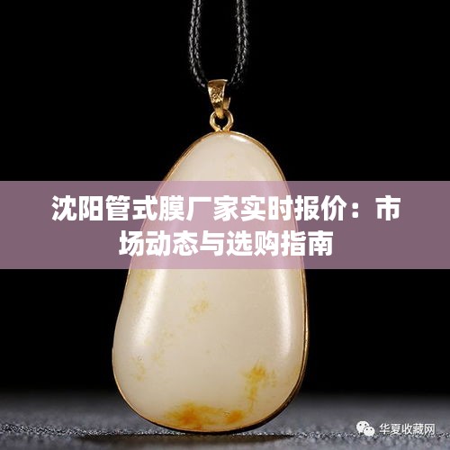 熊经鸟申 第3页