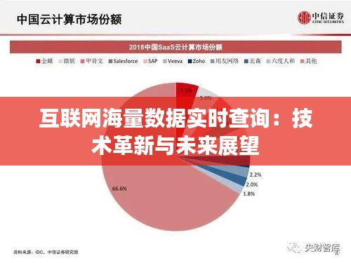 互联网海量数据实时查询：技术革新与未来展望