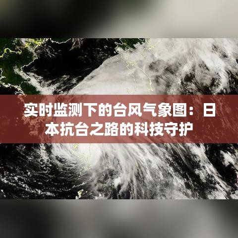 夯雀儿先飞 第3页