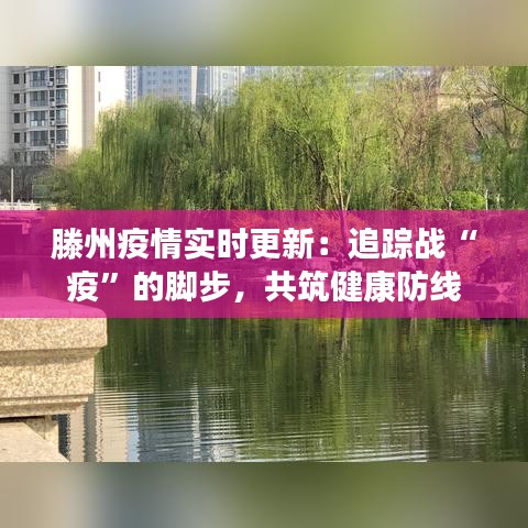 滕州疫情实时更新：追踪战“疫”的脚步，共筑健康防线