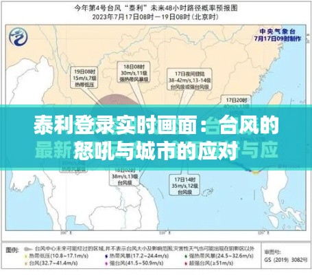 泰利登录实时画面：台风的怒吼与城市的应对