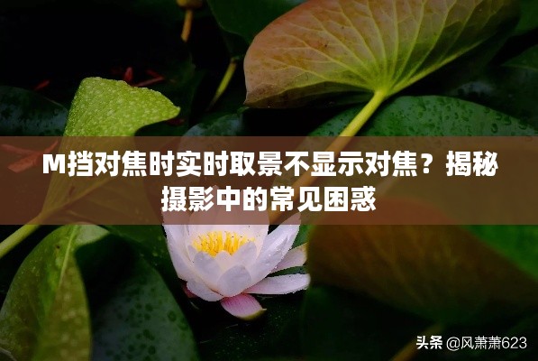 降贵纡尊 第3页