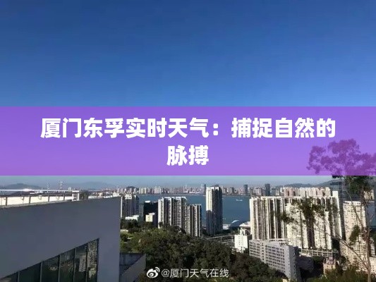 厦门东孚实时天气：捕捉自然的脉搏