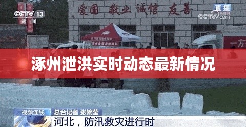 涿州泄洪实时动态最新情况