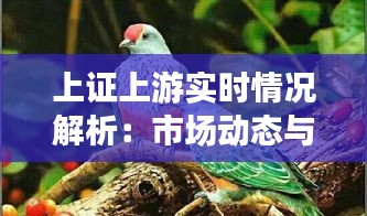 栖冲业简 第3页